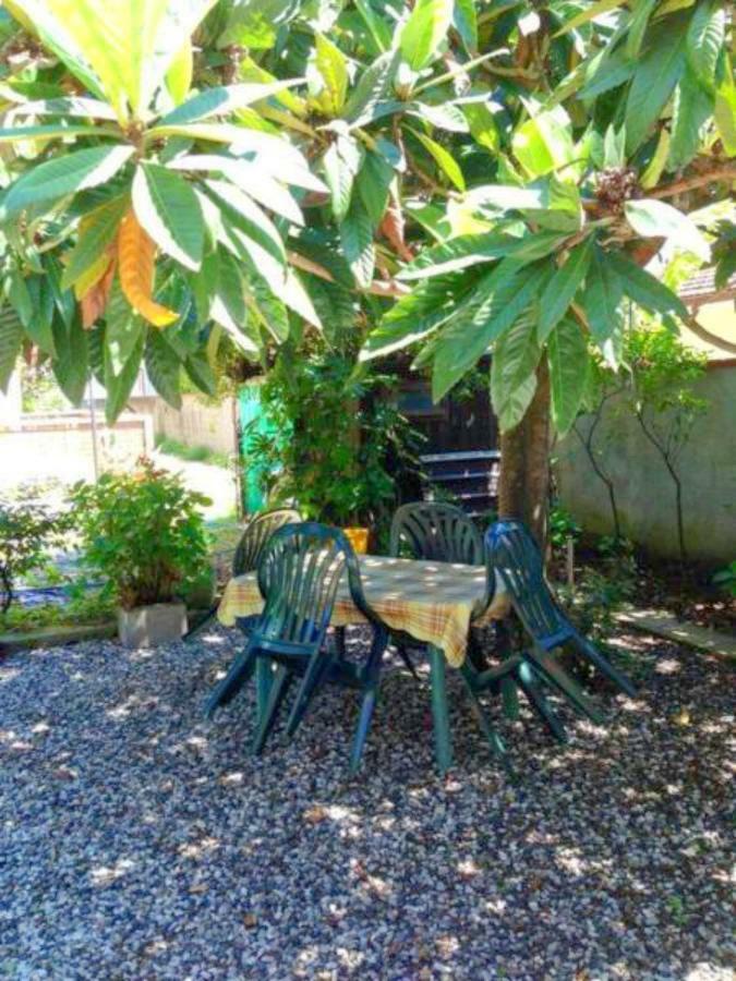 מרינה די קררה Eco B&B I Due Oleandri מראה חיצוני תמונה